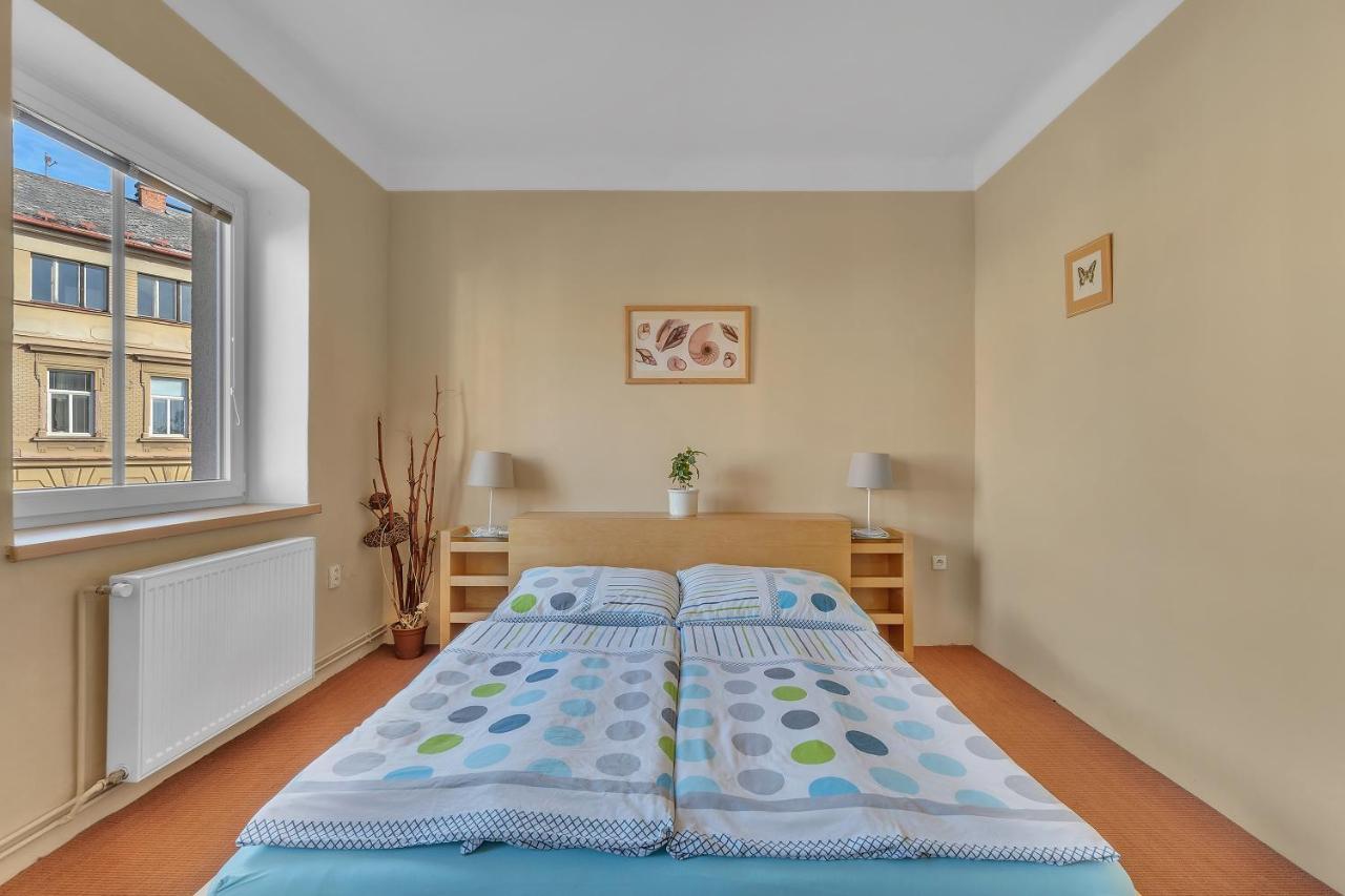 Apartman U Javorky Lázně Bělohrad Eksteriør bilde